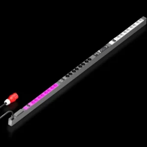 DK 7979534 PDU, metered plus version
