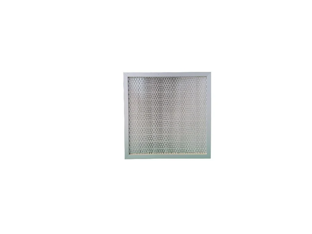 NFS 1000 U HEPA Filtre